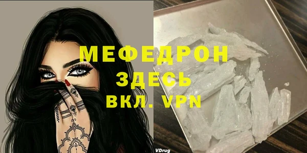 молекула духа Богородицк