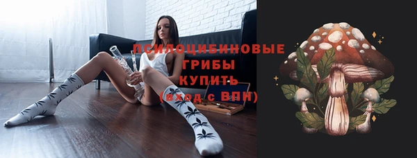 скорость Богородск