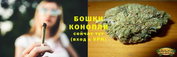 ешки Бородино