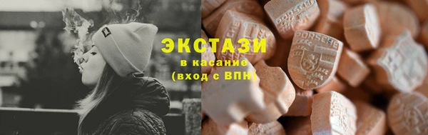 молекула духа Богородицк