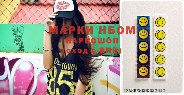 молекула духа Богородицк