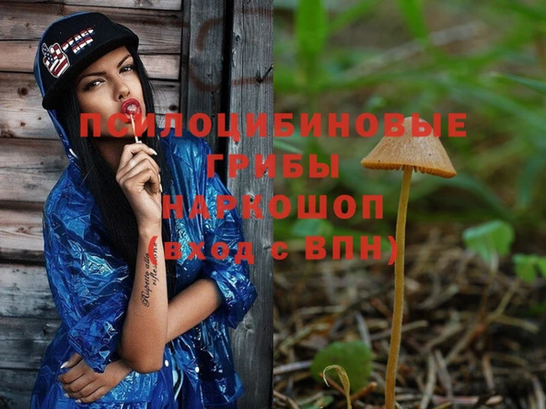 трава Богданович