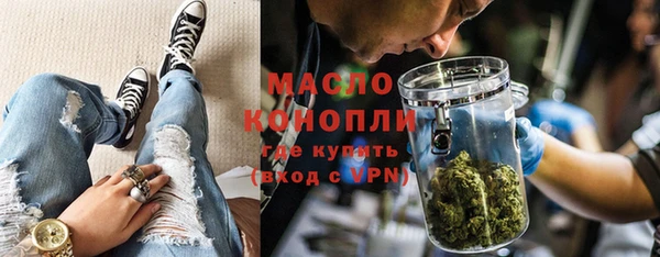 молекула духа Богородицк
