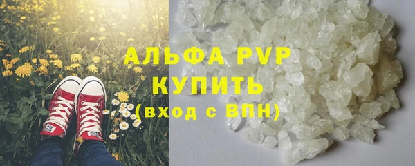 молекула духа Богородицк