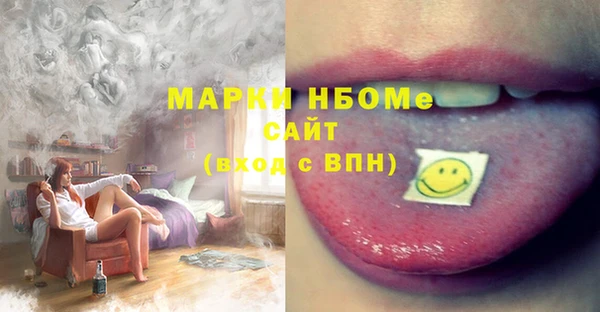молекула духа Богородицк